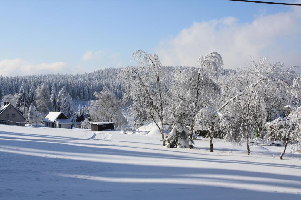 Ferienhotel Muehlleithen Klingenthal Exterior photo