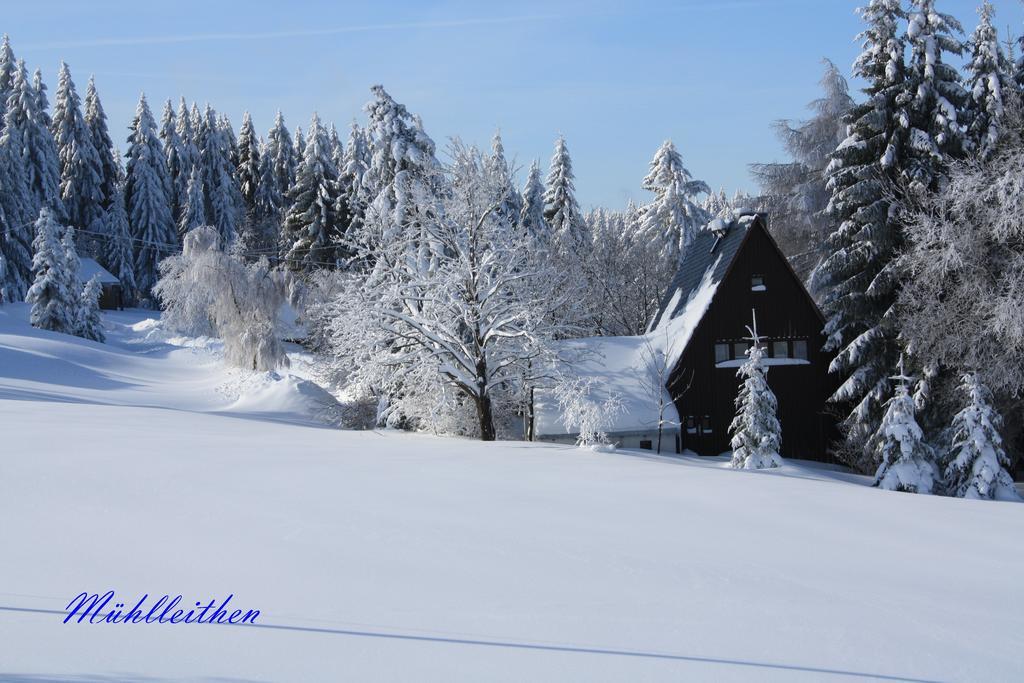 Ferienhotel Muehlleithen Klingenthal Exterior photo